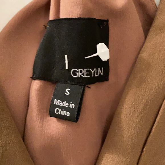 Greylin Silk Dress - Picture 3 of 4